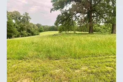 Tbd An County Road 452, Palestine, TX 75803 - Photo 7