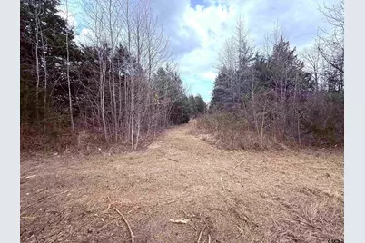 19181 E Hwy 11, Winnsboro, TX 75494 - Photo 3