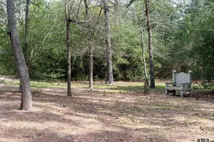 138 Green Knl, Holly Lake Ranch, TX 75765 - Photo 25