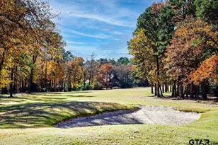 138 Green Knl, Holly Lake Ranch, TX 75765 - Photo 37