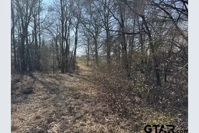 Tbd County Rd 1575, Alba, TX 75410 - Photo 11