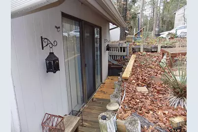 234 Holly Hill Circle 206B, Holly Lake Ranch, TX 75765 - Photo 3