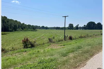 22173 Hwy 135, Troup, TX 75789 - Photo 3