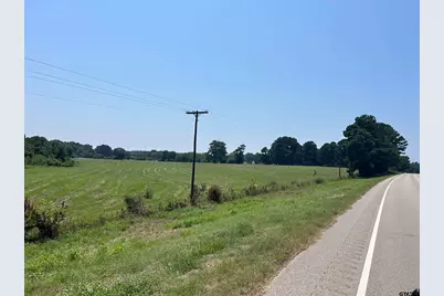 22173 Hwy 135, Troup, TX 75789 - Photo 9