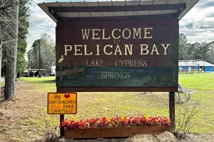 143 King Fisher, Winnsboro, TX 75494 - Photo 43