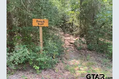 121 Candlelight Cv, Holly Lake Ranch, TX 75765 - Photo 29