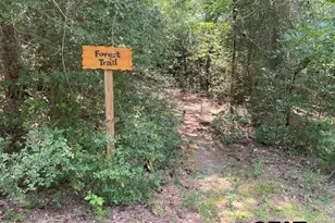 121 Candlelight Cove, Holly Lake Ranch, TX 75765 - Photo 29