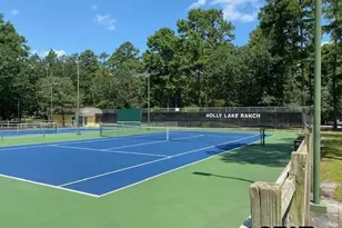 121 Candlelight Cove, Holly Lake Ranch, TX 75765 - Photo 37