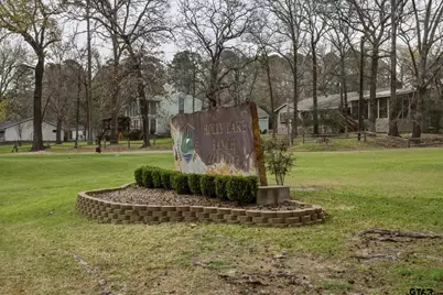 Lot 322 Section Pine Cone Glen, Holly Lake Ranch, TX 75765 - Photo 5