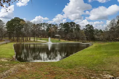 Lot 322 Section Pine Cone Glen, Holly Lake Ranch, TX 75765 - Photo 7