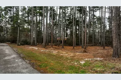 Lot 322 Section Pine Cone Glen, Holly Lake Ranch, TX 75765 - Photo 3