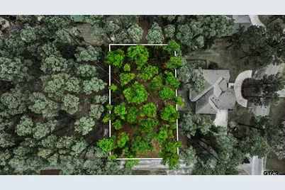 Lot 322 Section Pine Cone Glen, Holly Lake Ranch, TX 75765 - Photo 1