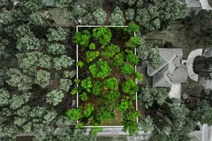 Lot 322 Section Pine Cone Glen, Holly Lake Ranch, TX 75765 - Photo 1