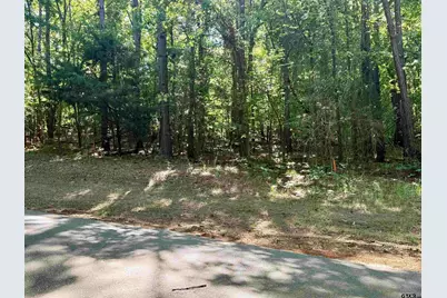 18561 Paradise Ln, Flint, TX 75762 - Photo 5