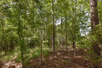 7933 Maple Ln, Tyler, TX 75703 - Photo 5