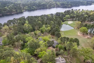 242 Lakewood Cir, Holly Lake Ranch, TX 75765 - Photo 45