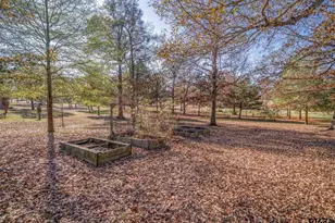 235 Widgeon Rd, Gilmer, TX 75645 - Photo 23