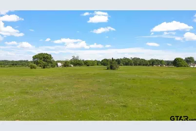 335 County Road 4802 & Hwy 110, Troup, TX 75789 - Photo 5