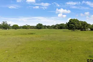 335 County Road 4802 & Hwy 110, Troup, TX 75789 - Photo 1
