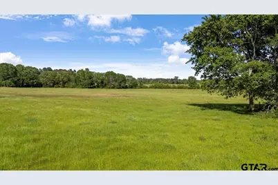 335 County Road 4802 & Hwy 110, Troup, TX 75789 - Photo 11