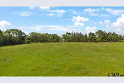 335 County Road 4802 & Hwy 110, Troup, TX 75789 - Photo 7