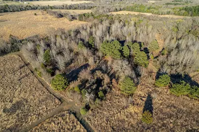 000 Cr 4710, LaRue, TX 75770 - Photo 7