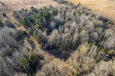 000 Cr 4710, LaRue, TX 75770 - Photo 21