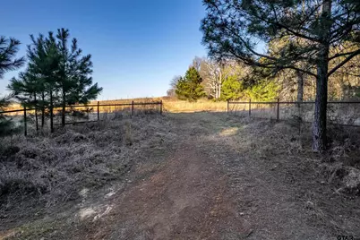 000 Cr 4710, LaRue, TX 75770 - Photo 17