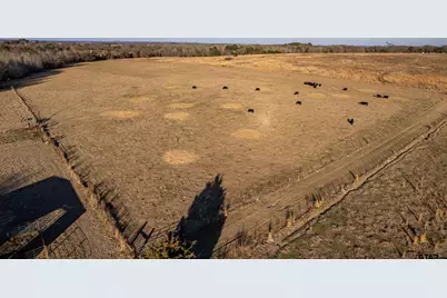 000 Cr 4710, LaRue, TX 75770 - Photo 3