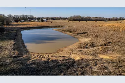 000 Cr 4710, LaRue, TX 75770 - Photo 15