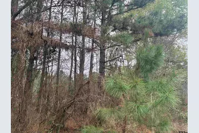 683 Cr 1209, Rusk, TX 75785 - Photo 9