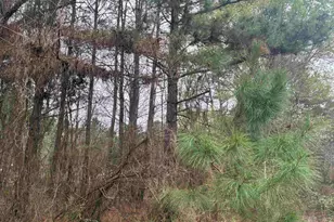 683 Co Rd 1209, Rusk, TX 75785 - Photo 9