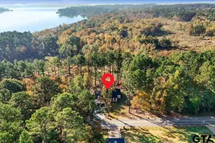 16971 Mary Martin Dr, Flint, TX 75762 - Photo 29