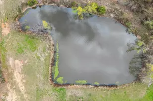 7693 S County Road 374, Henderson, TX 75654 - Photo 37