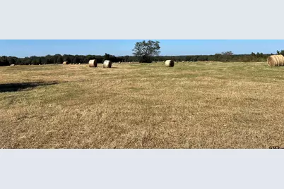 Tbd SW Cr 3010, Mt Vernon, TX 75457 - Photo 1