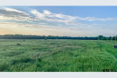 Tbd SW Cr 3010, Mt Vernon, TX 75457 - Photo 3