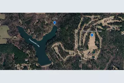 0 An County Road 319, Frankston, TX 75763 - Photo 9