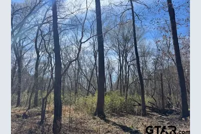 0 An County Road 319, Frankston, TX 75763 - Photo 7