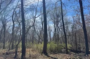 0 An County Road 319, Frankston, TX 75763 - Photo 7