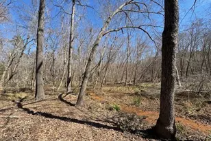 0 An County Road 319, Frankston, TX 75763 - Photo 5