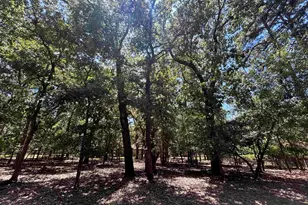 202 Magnolia, Holly Lake Ranch, TX 75765 - Photo 1