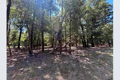 202 Magnolia, Holly Lake Ranch, TX 75765 - Photo 3