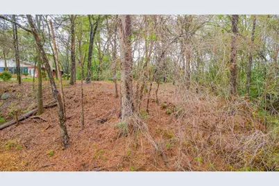 161 Fairway East, Hideaway, TX 75771 - Photo 3