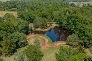 249 Private Rd 6936, Alba, TX 75410 - Photo 29