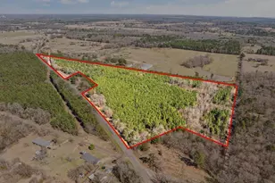 Lot 1 Fm 556, Pittsburg, TX 75686 - Photo 1