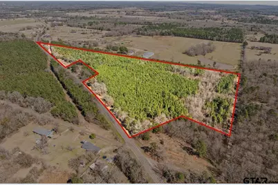 Lot 6 Fm 556, Pittsburg, TX 75686 - Photo 1