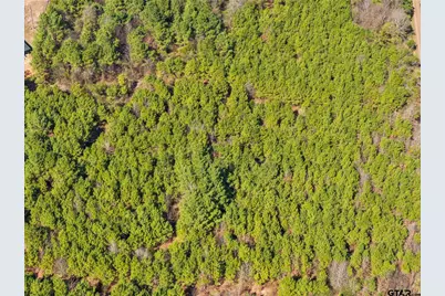 Lot 6 Fm 556, Pittsburg, TX 75686 - Photo 5