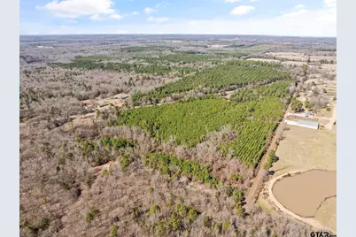 Lot 6 Fm 556, Pittsburg, TX 75686 - Photo 9