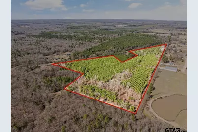 Lot 10 Cr 1350, Pittsburg, TX 75686 - Photo 11