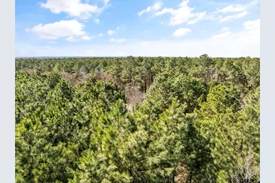 Lot 10 Cr 1350, Pittsburg, TX 75686 - Photo 3